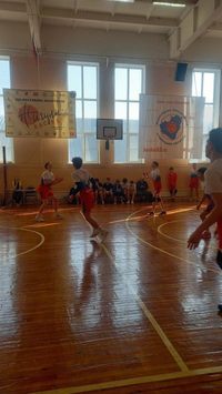 ������������